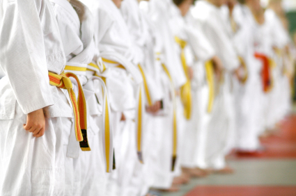 Martial Arts Insurance in Bedford & DFW, TX.